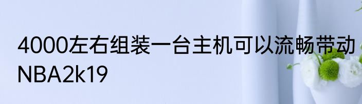 4000左右组装一台主机可以流畅带动NBA2k19