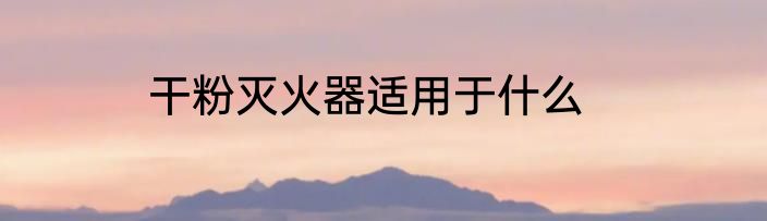 干粉灭火器适用于什么