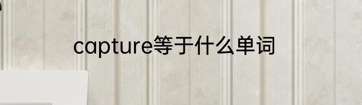 capture等于什么单词