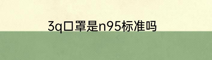 3q口罩是n95标准吗