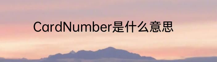 CardNumber是什么意思