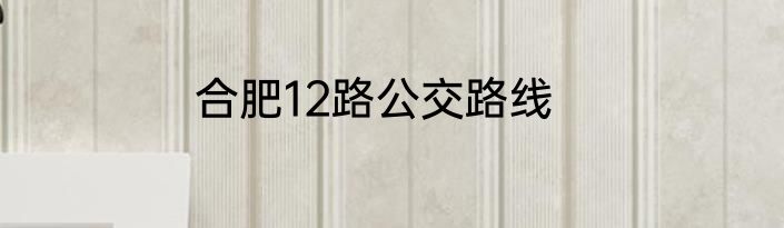 合肥12路公交路线