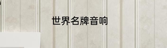 世界名牌音响