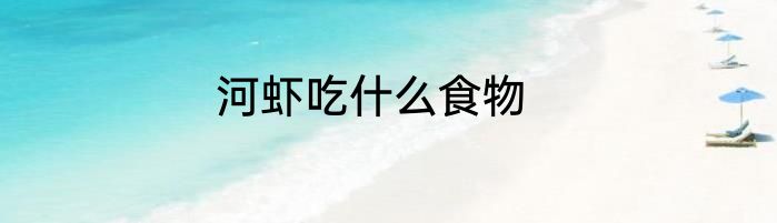 河虾吃什么食物