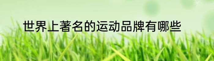世界上著名的运动品牌有哪些