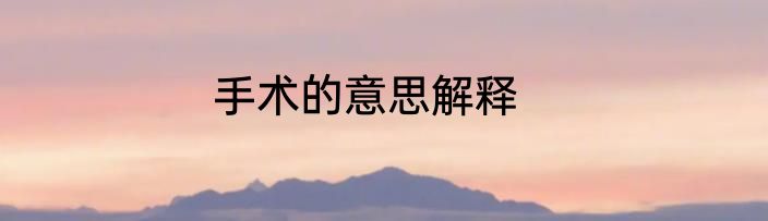 手术的意思解释