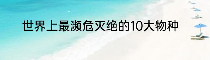 世界上最濒危灭绝的10大物种