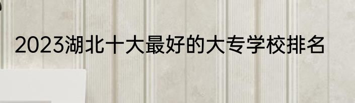 2023湖北十大最好的大专学校排名