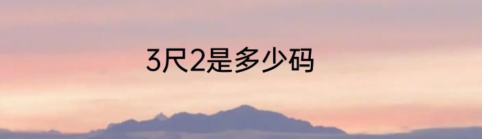 3尺2是多少码