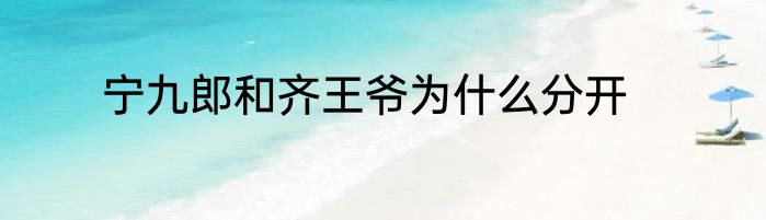 宁九郎和齐王爷为什么分开