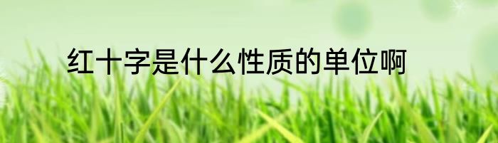 红十字是什么性质的单位啊