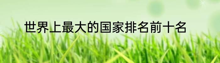 世界上最大的国家排名前十名