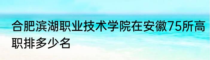 合肥滨湖职业技术学院在安徽75所高职排多少名