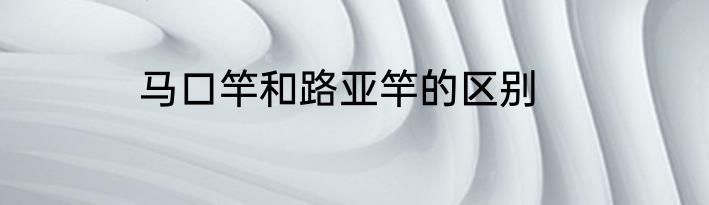 马口竿和路亚竿的区别