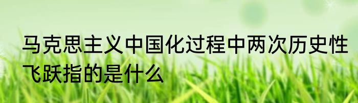 马克思主义中国化过程中两次历史性飞跃指的是什么
