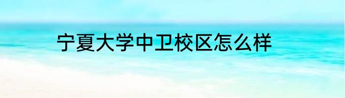 宁夏大学中卫校区怎么样