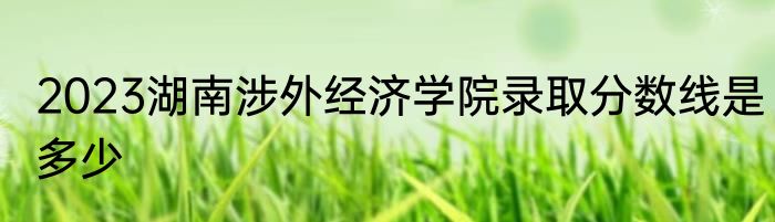 2023湖南涉外经济学院录取分数线是多少