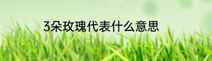 3朵玫瑰代表什么意思