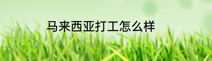 马来西亚打工怎么样