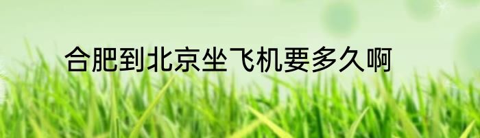 合肥到北京坐飞机要多久啊