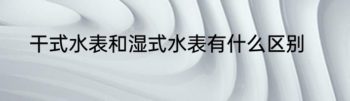 干式水表和湿式水表有什么区别