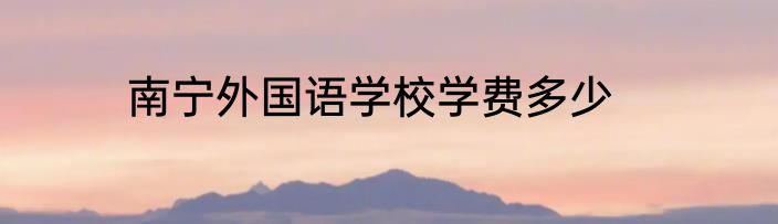 南宁外国语学校学费多少