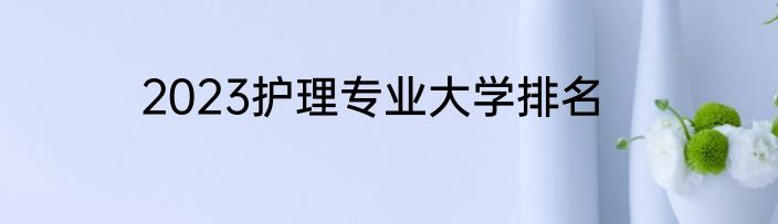 2023护理专业大学排名