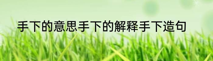 手下的意思手下的解释手下造句