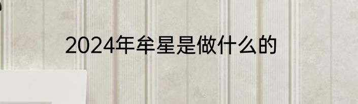 2024年牟星是做什么的