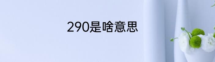 290是啥意思