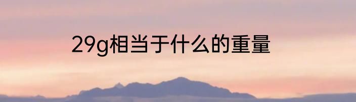 29g相当于什么的重量
