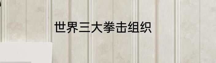 世界三大拳击组织