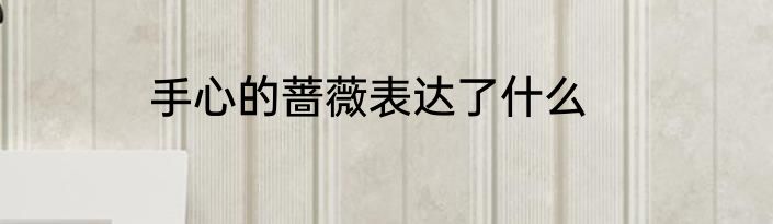 手心的蔷薇表达了什么
