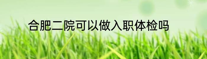 合肥二院可以做入职体检吗