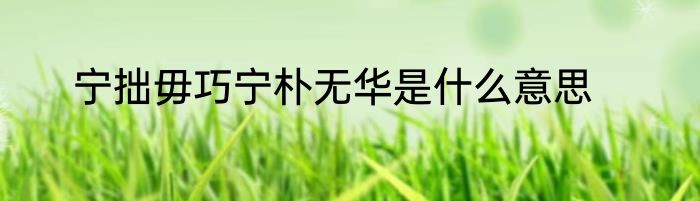 宁拙毋巧宁朴无华是什么意思