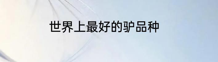 世界上最好的驴品种