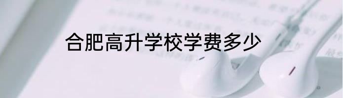 合肥高升学校学费多少