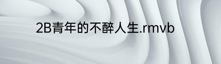 2B青年的不醉人生.rmvb