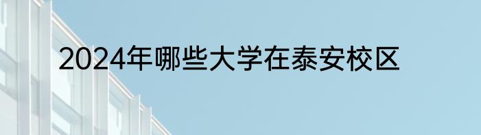 2024年哪些大学在泰安校区