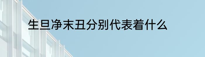 生旦净末丑分别代表着什么