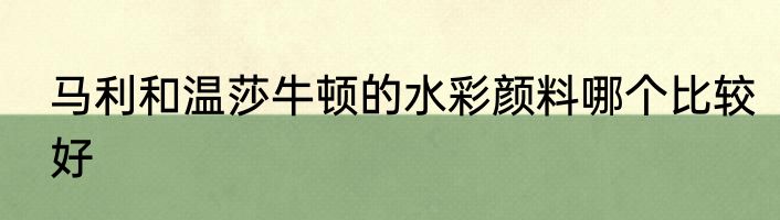 马利和温莎牛顿的水彩颜料哪个比较好