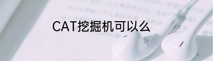 CAT挖掘机可以么