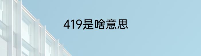 419是啥意思