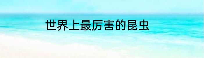世界上最厉害的昆虫