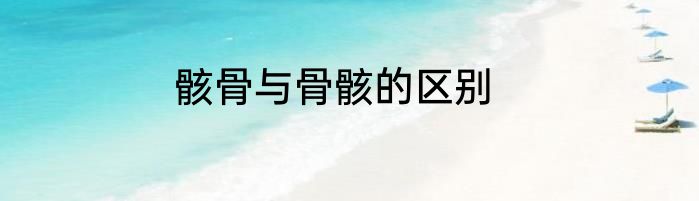 骸骨与骨骸的区别