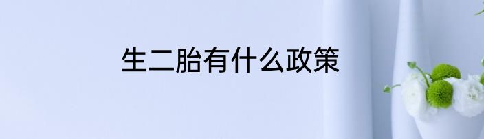 生二胎有什么政策