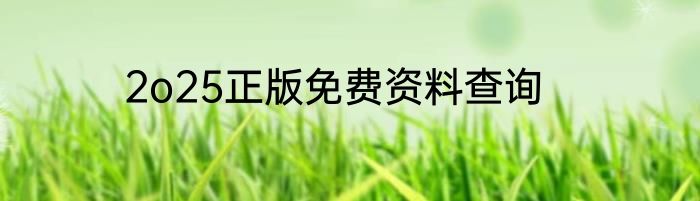 2o25正版免费资料查询