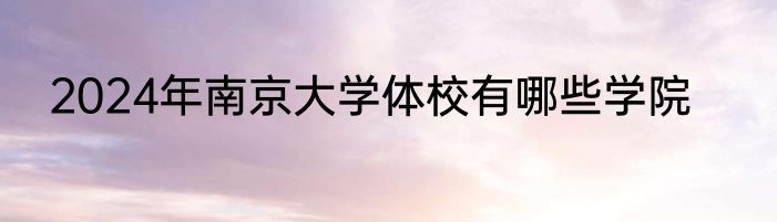 2024年南京大学体校有哪些学院