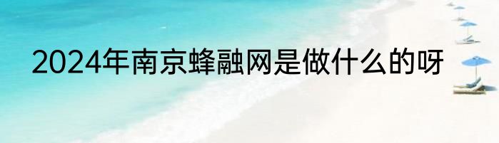 2024年南京蜂融网是做什么的呀