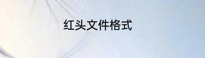 红头文件格式